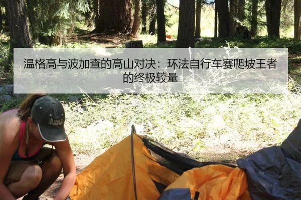 温格高与波加查的高山对决：环法自行车赛爬坡王者的终极较量